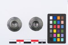 Foto von Bronzezierniet (NHMW-PRAE-002318)